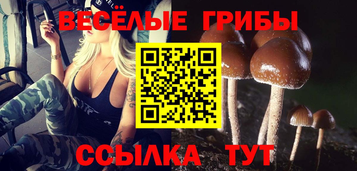 Малоярославец  Галлюциногенные грибы Cubensis  Галлюциногенные грибы прущие грибы  Вход с VPN 